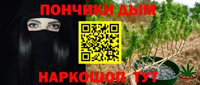 шишки Гай