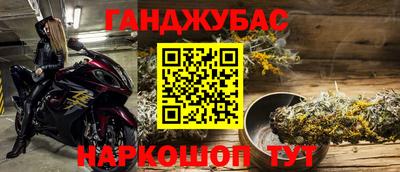 шишки Гай