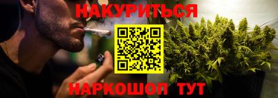 шишки Гай