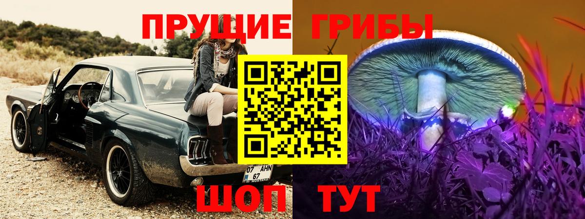 Мытищи  как найти   Вход с VPN  Псилоцибиновые грибы мухоморы 