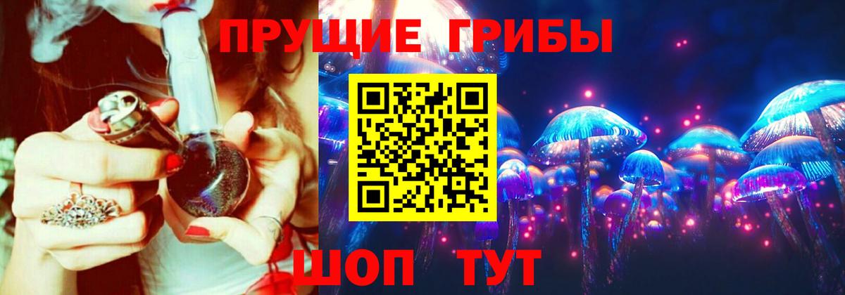 Псилоцибиновые грибы Psilocybine cubensis Мытищи
